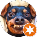 Stefano D. profile picture